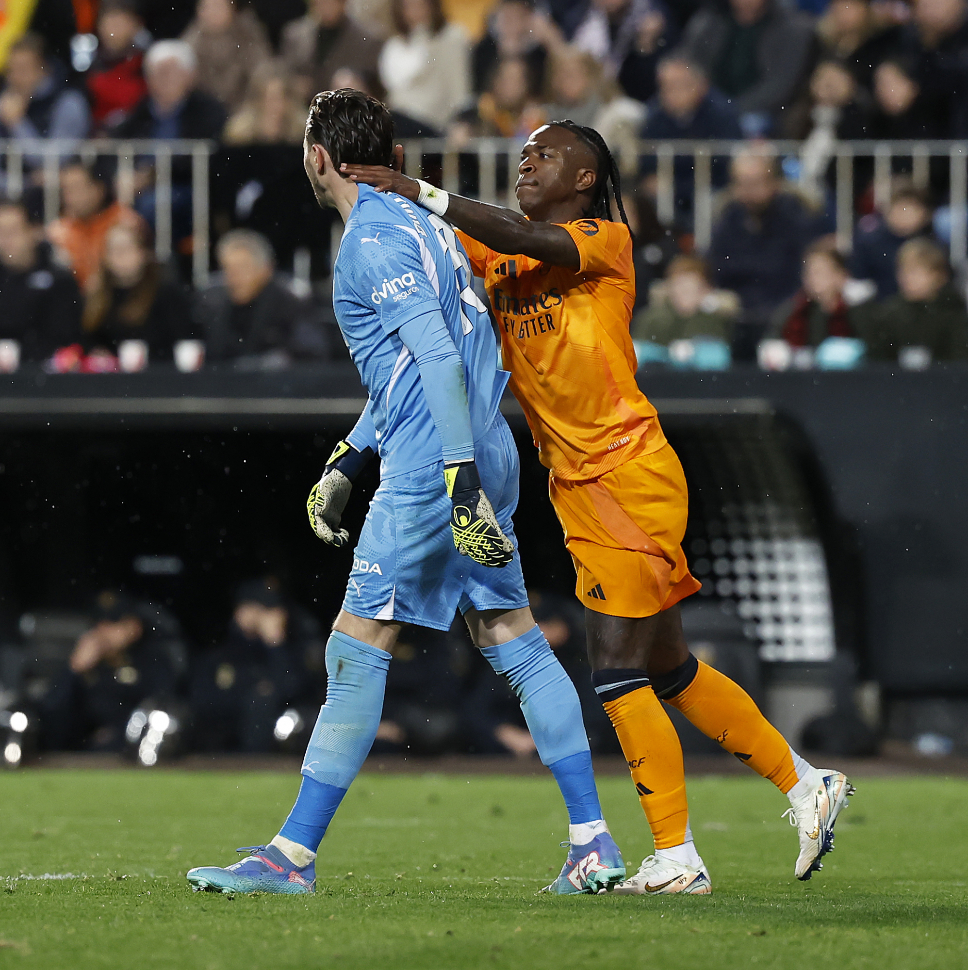 今天动了梅 今天动了梅